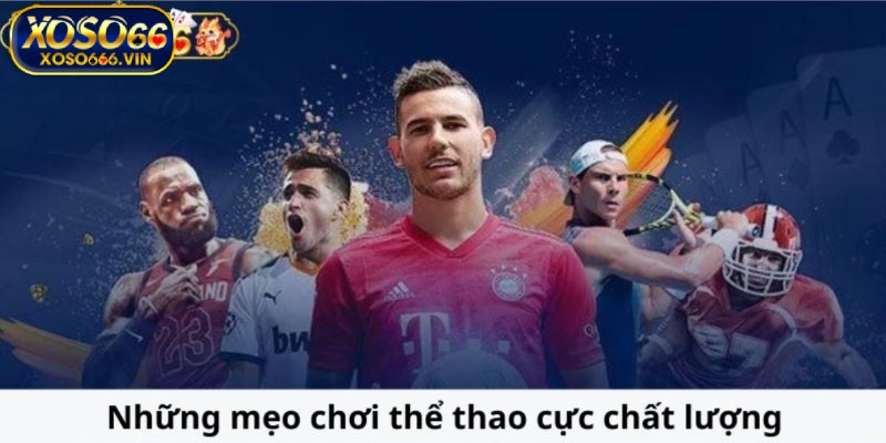 Mẹo cá cược thể thao tất thắng mà cược thủ nên áp dụng