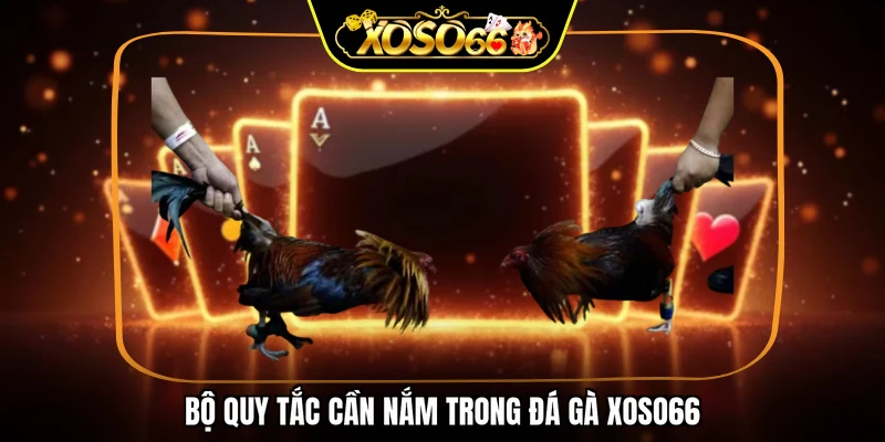 Bộ quy tắc cần nắm trong đá gà XOSO66