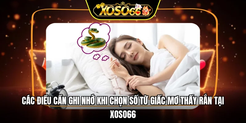 Điều cần nhớ để giải mã mơ thấy rắn đánh con gì tại XOSO66