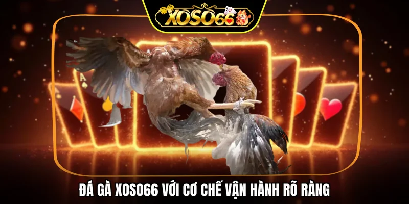 Đá gà XOSO66 với cơ chế vận hành rõ ràng