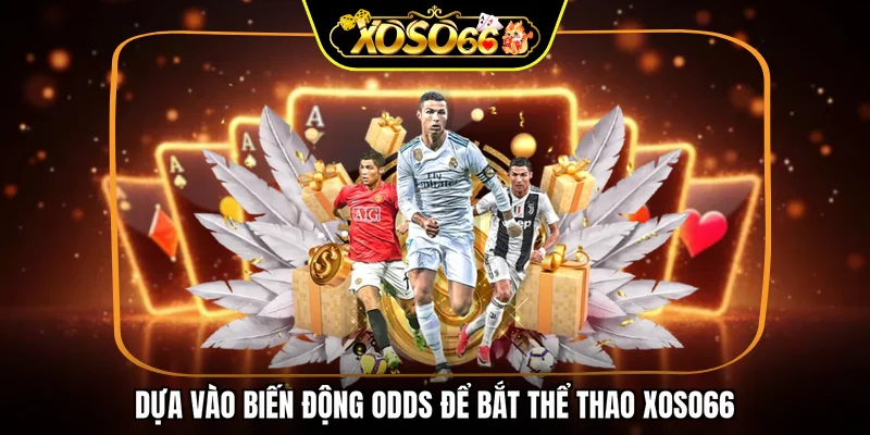 Dựa vào biến động odds để bắt thể thao XOSO66