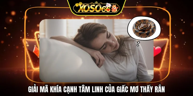 Mơ thấy rắn đánh con gì và giải mã khía cạnh tâm linh