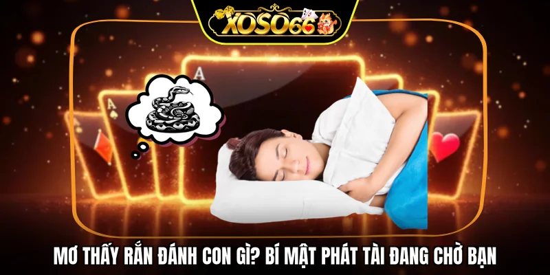 Mơ thấy rắn đánh con gì? bí mật phát tài đang chờ bạn