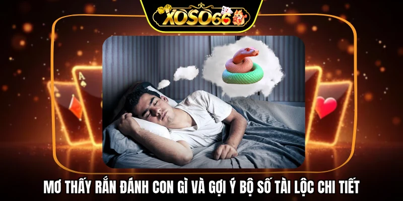 Gợi ý bộ số tài lộc chi tiết trong mơ thấy rắn đánh con gì